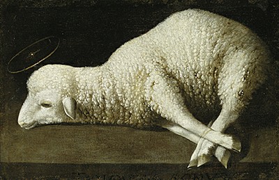 Ecco l’agnello di Dio
